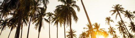 Hawaiian Tropic Hawaiien Tropic