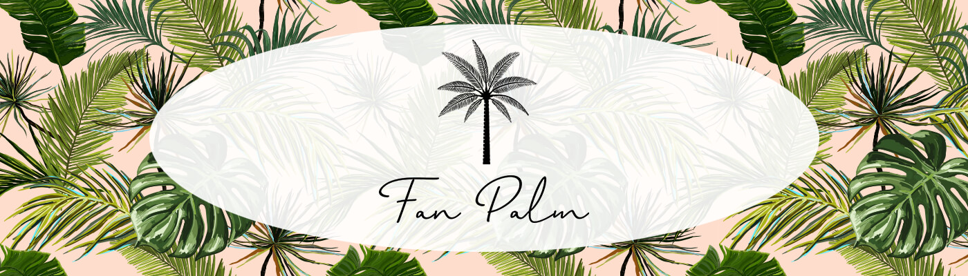 Fan Palm