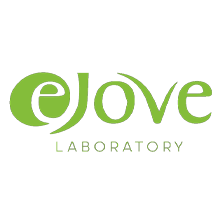 Ejove NULL