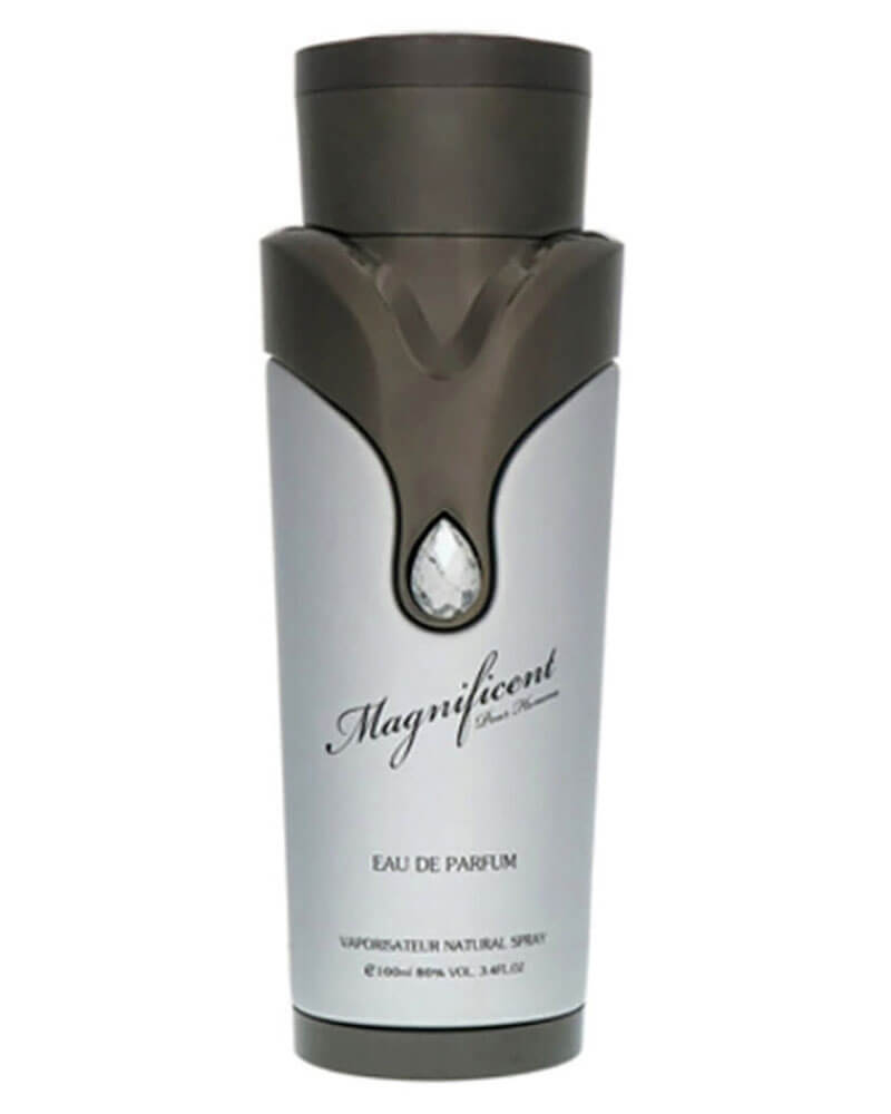 Armaf Magnificent Pour Homme EDP 100 ml