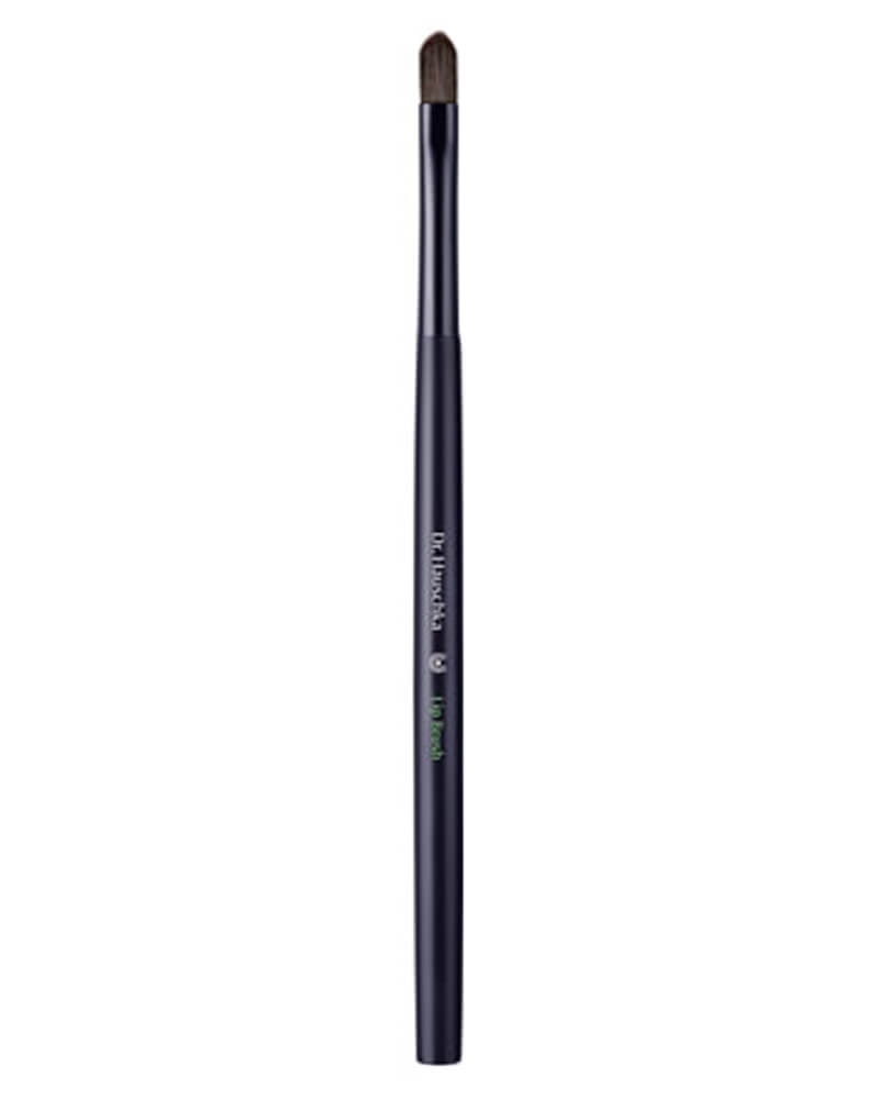 Lip Brush