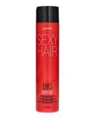 Sexy Hair Big Boost Up Conditioner