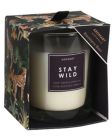 Excellent Houseware Stay Wild Duftlys Sweet Grass & Dandelion