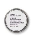 Evolve Lip Shine True Gold