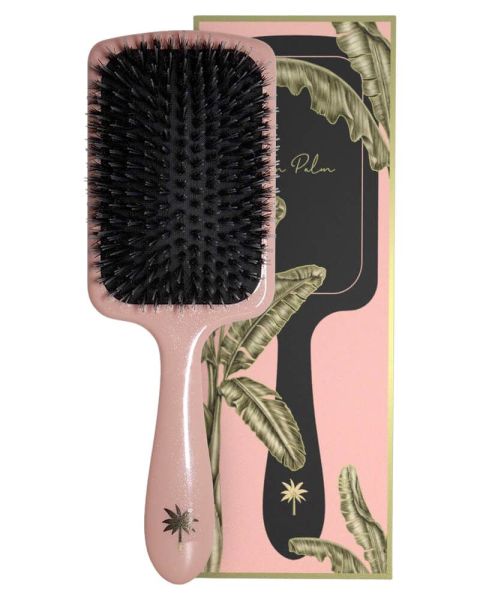 Fan Palm Double Bloom Large Paddle Brush Fan Palm Double Bloom Large Paddle Brush
