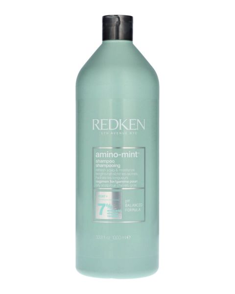 Redken Amino-Mint Shampoo