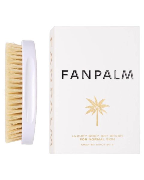 Fan Palm Body Dry Brush Fan Palm Body Dry Brush