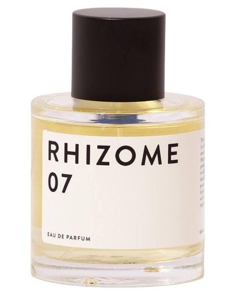 Rhizome 07 EDP