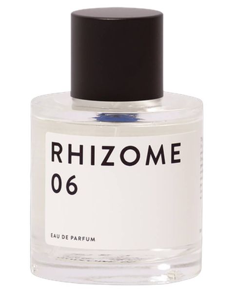 Rhizome 06 EDP
